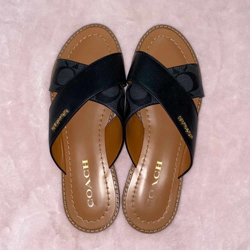 Coach Slides